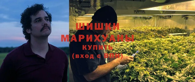 Марихуана THC 21%  Копейск 